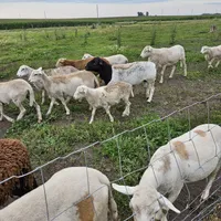 processed/1c2a5467-1b66-4906-8b12-81895844370e/facility/f5d416a4-c366-4ecc-9fb6-18fdb64af338