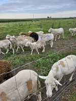 processed/1c2a5467-1b66-4906-8b12-81895844370e/facility/f5d416a4-c366-4ecc-9fb6-18fdb64af338