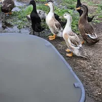 processed/1c2a5467-1b66-4906-8b12-81895844370e/facility/fd7e8542-083f-4c5c-baf2-bb524fd0dabc