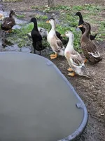 processed/1c2a5467-1b66-4906-8b12-81895844370e/facility/fd7e8542-083f-4c5c-baf2-bb524fd0dabc