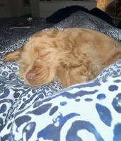 processed/1c2bbdcb-63ec-47c3-8ede-dee68bae24f3/listing/042e1003-6d65-40ae-91dc-bdbbb97232a6/4fb2f8f6-24a3-405a-9de4-caa729ba1cb7