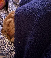 processed/1c2bbdcb-63ec-47c3-8ede-dee68bae24f3/listing/042e1003-6d65-40ae-91dc-bdbbb97232a6/8f3724dd-ccfb-495c-9613-0c514af3200d