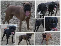 processed/1c313c1e-0aa4-4343-81d6-432d93f8748e/facility/1988cd8e-a6ad-4902-9452-95fef9203ba1