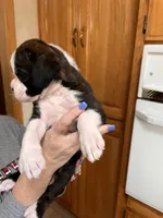 processed/1c313c1e-0aa4-4343-81d6-432d93f8748e/listing/0f2e7ca8-ec52-47d1-b000-09b077d03efc/2650cf9c-a755-44b3-8c3f-2f6e60b60671