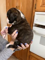 processed/1c313c1e-0aa4-4343-81d6-432d93f8748e/listing/0f2e7ca8-ec52-47d1-b000-09b077d03efc/59fd7dac-3f9a-4b22-b0f3-d083fbe14f18