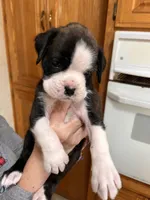 processed/1c313c1e-0aa4-4343-81d6-432d93f8748e/listing/0f2e7ca8-ec52-47d1-b000-09b077d03efc/6a413242-8e57-402f-b8d3-10afb2cf1487