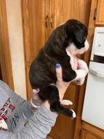 processed/1c313c1e-0aa4-4343-81d6-432d93f8748e/listing/0f2e7ca8-ec52-47d1-b000-09b077d03efc/7eec0f73-8cd7-4e17-9fcb-efcd40a9c205