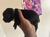 processed/1c359b53-a232-48ab-ae80-690f30f2a33f/facility/5d84c699-c9a1-4569-b971-570a85b20481