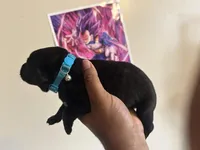 processed/1c359b53-a232-48ab-ae80-690f30f2a33f/facility/7ca541c8-49e0-44ea-abbd-d79425726cb9