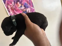 processed/1c359b53-a232-48ab-ae80-690f30f2a33f/facility/7e9f609a-0e19-4e03-ad18-d08473d2785e