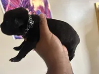 processed/1c359b53-a232-48ab-ae80-690f30f2a33f/facility/cb6e5302-1654-4db7-a6ef-9d8243d71104