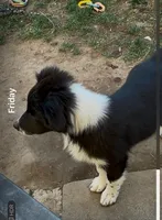 processed/1c36952c-0424-43c8-a6f6-3d9de3458d3e/listing/bf0295ba-8676-404b-b2eb-bd0b121ea5e8/da2f8dd5-b2ce-4bbf-b8ee-4ac0e9cba5bf