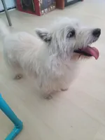 processed/1c3d575d-28c5-486e-8a04-48ba5f35dd0a/listing/9fc7a600-3b6e-4b96-b9b7-e6a1a6c88302/7900551e-efdd-4316-95b5-8983eff59536