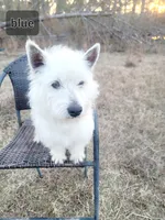 processed/1c3d575d-28c5-486e-8a04-48ba5f35dd0a/listing/9fc7a600-3b6e-4b96-b9b7-e6a1a6c88302/fe566a7a-3d37-4d14-b21c-3eea543d68d6