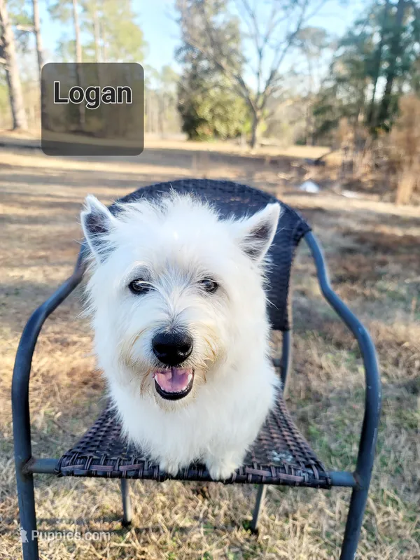 Logan
