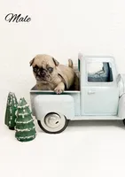 processed/1c42edf1-b010-49d0-a6aa-bb801034c7db/listing/1bce819c-845d-42b9-803f-5fccd593db0f/2c8c679f-9959-4048-9cad-19224bdaaaa5