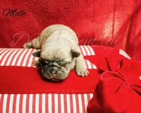 processed/1c42edf1-b010-49d0-a6aa-bb801034c7db/listing/1bce819c-845d-42b9-803f-5fccd593db0f/aae4ae0b-a0ef-4ef5-9924-68090f736633