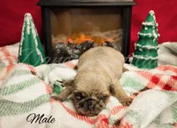 processed/1c42edf1-b010-49d0-a6aa-bb801034c7db/listing/1bce819c-845d-42b9-803f-5fccd593db0f/c5dcc858-b7a4-4860-b224-1016cdcf6117