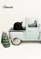 processed/1c42edf1-b010-49d0-a6aa-bb801034c7db/listing/69c703c3-c6a2-4ff1-b8d0-f2dcbe52dff2/08f8f567-a694-4912-8569-9eeb7d75fb89