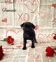 processed/1c42edf1-b010-49d0-a6aa-bb801034c7db/listing/69c703c3-c6a2-4ff1-b8d0-f2dcbe52dff2/23e0fc8e-f533-4577-9ccb-8b93321fbd1f