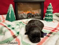 processed/1c42edf1-b010-49d0-a6aa-bb801034c7db/listing/69c703c3-c6a2-4ff1-b8d0-f2dcbe52dff2/437dd98f-6521-4606-8317-0a25d957da58