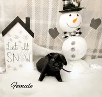 processed/1c42edf1-b010-49d0-a6aa-bb801034c7db/listing/69c703c3-c6a2-4ff1-b8d0-f2dcbe52dff2/6165389d-7291-49ca-b4b4-9fcd0552b80d