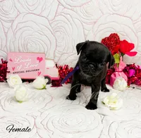 processed/1c42edf1-b010-49d0-a6aa-bb801034c7db/listing/69c703c3-c6a2-4ff1-b8d0-f2dcbe52dff2/7f56d51b-23ba-4703-a8b9-26600f5b42db