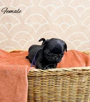 processed/1c42edf1-b010-49d0-a6aa-bb801034c7db/listing/69c703c3-c6a2-4ff1-b8d0-f2dcbe52dff2/fa70d0b2-28ed-4a85-a81e-4b1e1cf59a8d