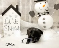 processed/1c42edf1-b010-49d0-a6aa-bb801034c7db/listing/d114483b-bd50-49c8-af3f-66f2ff0d833f/07680665-7123-49bf-b051-8ea1d0874187