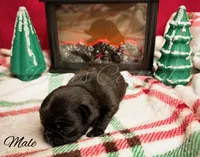 processed/1c42edf1-b010-49d0-a6aa-bb801034c7db/listing/d114483b-bd50-49c8-af3f-66f2ff0d833f/606c75be-b63d-4f83-808c-542913d3108c