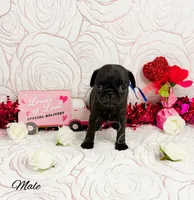 processed/1c42edf1-b010-49d0-a6aa-bb801034c7db/listing/d114483b-bd50-49c8-af3f-66f2ff0d833f/e2e383c9-cda9-421e-b767-9b2424278b2a