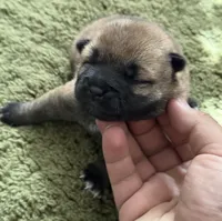 processed/1c4e1f72-e8f8-4353-a665-3a9c411178fb/listing/5636ec04-8b3b-4677-88e3-f482500fb3ab/f171395d-36c9-434b-ad63-5591b9b19d8c