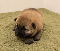 processed/1c4e1f72-e8f8-4353-a665-3a9c411178fb/listing/5636ec04-8b3b-4677-88e3-f482500fb3ab/ffdd9543-a634-42bd-bbaa-e76f5dd3ac90