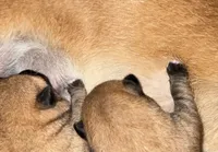 processed/1c4e1f72-e8f8-4353-a665-3a9c411178fb/listing/cc5b9a97-e806-451e-8cf2-8eea3777ea2e/07a54ee3-ace4-4b58-8920-4d6bb2cc8264