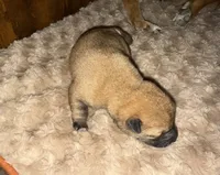 processed/1c4e1f72-e8f8-4353-a665-3a9c411178fb/listing/cc5b9a97-e806-451e-8cf2-8eea3777ea2e/3e64f67b-4b03-4f53-8aab-bce3509cb8bc