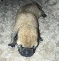 processed/1c4e1f72-e8f8-4353-a665-3a9c411178fb/listing/cc5b9a97-e806-451e-8cf2-8eea3777ea2e/67a09d1a-0381-457c-9a9d-d5fe1266f5c6