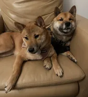 processed/1c4e1f72-e8f8-4353-a665-3a9c411178fb/listing/cc5b9a97-e806-451e-8cf2-8eea3777ea2e/ae05da45-b1d6-4b4c-a3b1-fc4504285b6d