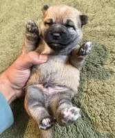 processed/1c4e1f72-e8f8-4353-a665-3a9c411178fb/listing/cc5b9a97-e806-451e-8cf2-8eea3777ea2e/cf3a87af-fe40-4d12-9fc9-6a36961014e2