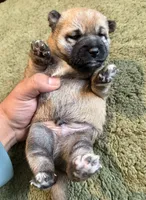 processed/1c4e1f72-e8f8-4353-a665-3a9c411178fb/listing/cc5b9a97-e806-451e-8cf2-8eea3777ea2e/fc39c8f4-053d-42ee-a4a7-e627182296f7