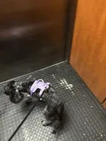 processed/1c4e9fa1-ea99-4b42-81c1-fa6a7cf2a630/facility/39936909-0c4d-49be-804a-484b802a4962