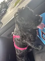 processed/1c4e9fa1-ea99-4b42-81c1-fa6a7cf2a630/facility/5154fd48-4f7b-49c8-acbe-7e1f38a74661