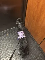 processed/1c4e9fa1-ea99-4b42-81c1-fa6a7cf2a630/facility/579847f5-891a-4c3b-950e-bb80b41608e0