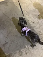 processed/1c4e9fa1-ea99-4b42-81c1-fa6a7cf2a630/facility/a27a85c9-f8d0-416c-a507-65c8899ceb23