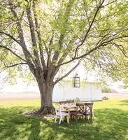 processed/1c51a19f-1ded-4d62-96a7-f59803fa9b16/facility/0ae57680-4309-4dc9-bc14-9b98021c0966