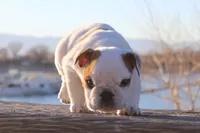 processed/1c6232df-65d0-4115-a253-3f2e09f19e32/facility/6b58d010-eaf5-4d61-b48f-1a5daa46c54f