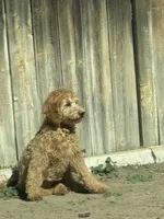 processed/1c63f386-f3a5-4434-b146-3f889b17efcc/listing/b828fbfb-e8bd-415d-adb3-ad1d2491af25/190893ef-29e7-4f3e-9201-9a6d2476293a