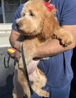 processed/1c63f386-f3a5-4434-b146-3f889b17efcc/listing/b828fbfb-e8bd-415d-adb3-ad1d2491af25/1f041c65-9983-4a78-90bf-85018539c146