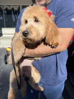 processed/1c63f386-f3a5-4434-b146-3f889b17efcc/listing/b828fbfb-e8bd-415d-adb3-ad1d2491af25/63d584a1-ddb7-4114-bdc6-5a323500a752