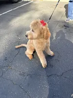 processed/1c63f386-f3a5-4434-b146-3f889b17efcc/listing/b828fbfb-e8bd-415d-adb3-ad1d2491af25/dd3f49bf-5478-478f-8085-9389aa5a3b80