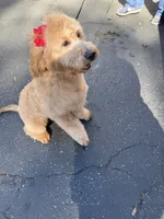 processed/1c63f386-f3a5-4434-b146-3f889b17efcc/listing/b828fbfb-e8bd-415d-adb3-ad1d2491af25/de7b1fea-1c8d-44e2-a4e8-4b0977e4a84b